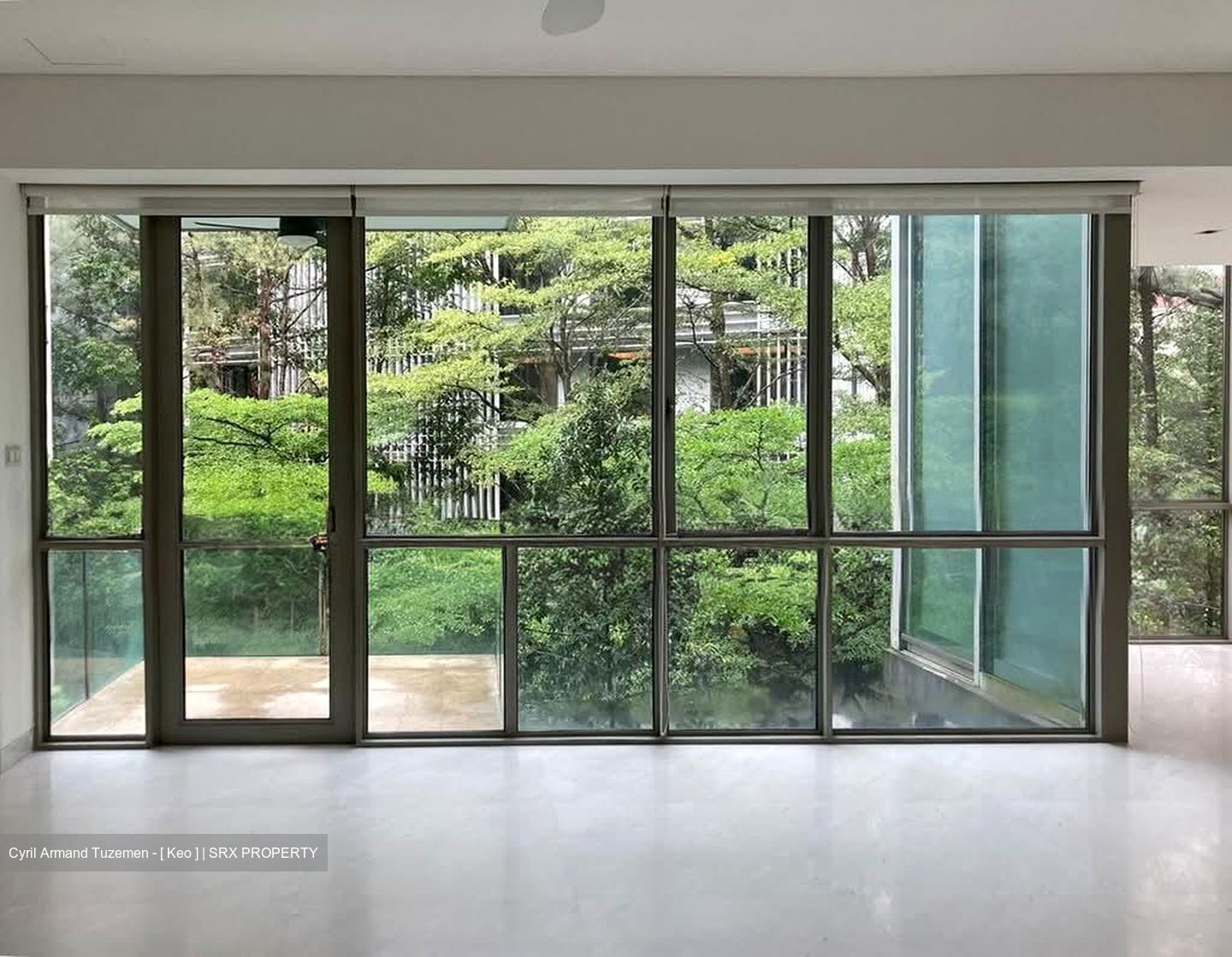 Beaufort On Nassim (D10), Condominium #557582221